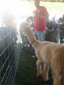 Charlotte Kymer: My Experience at the MOTHER EARTH NEWS FAIR Image